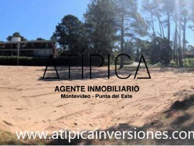 #26 - Terreno o Lote para Venta en Punta del Este - UY-MA - 3