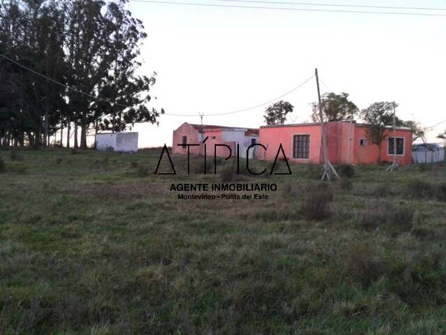 #67 - Campo Productivo para Venta en Maldonado - UY-MA - 3