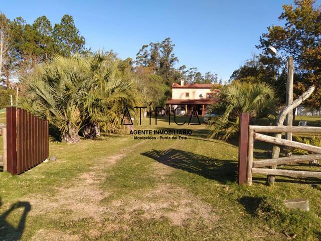 #69 - Campo Productivo para Venta en San Carlos - UY-MA - 3