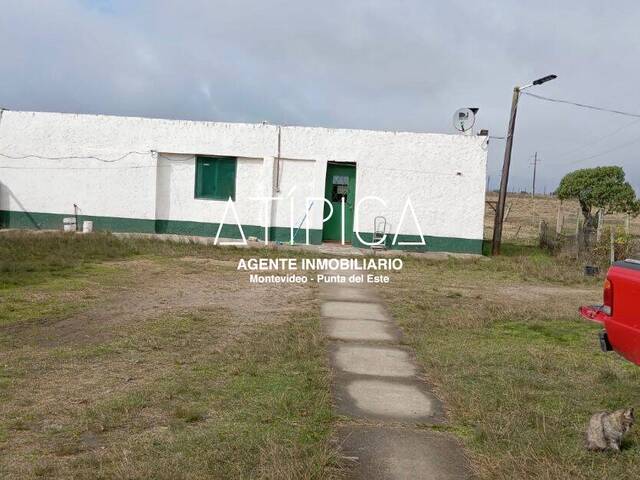 #218 - Campo Productivo para Venta en Chuy - UY-RO - 2